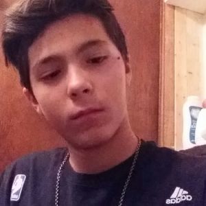 Meet your Posher, Vincent